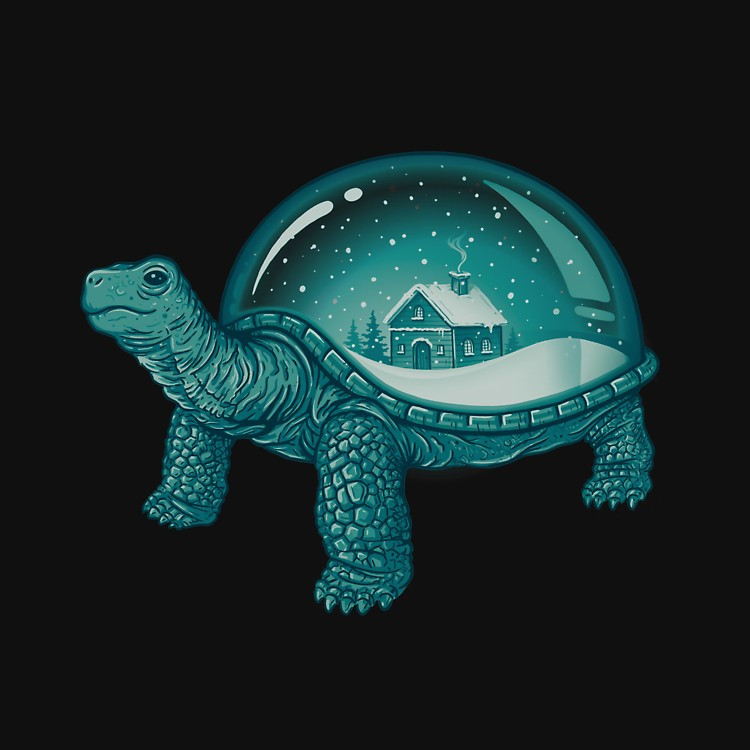 Home Sweet Home Turtle
