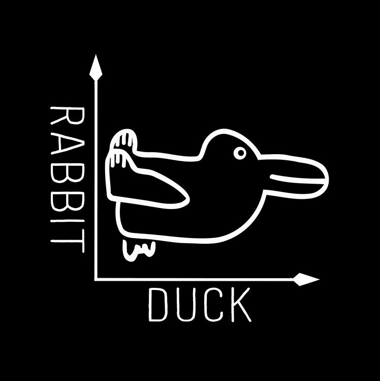 Wittgenstein duck-rabbit graph